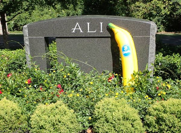 Muhammad Ali grave