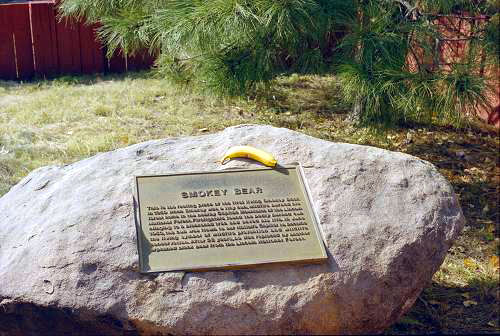 Smokey Bear gravesite