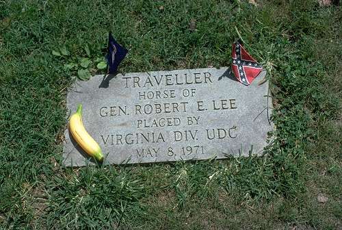Traveller grave